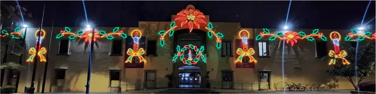 Adornos luminosos navide&ntilde;o