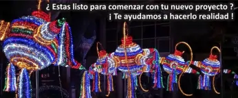 Ornamentación Luminosa