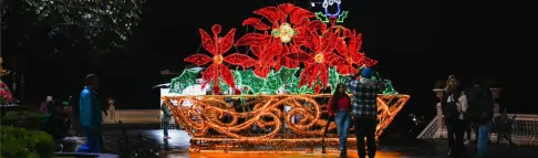Ornamentación Luminosa Navideña