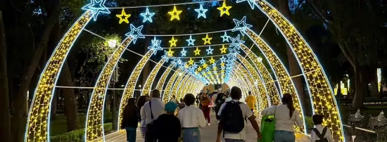 Ornamentación Luminosa para Fiestas Patrias, Navidad, y Eventos especiales