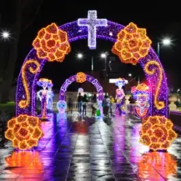 Ornamentación Luminosa para el día de los muertos